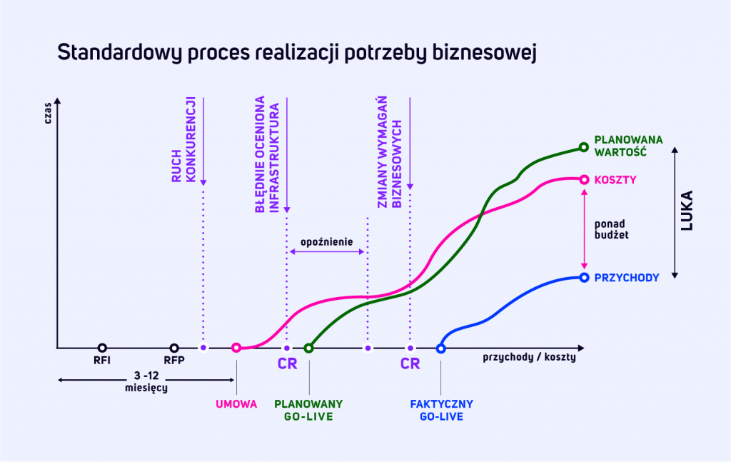 Standardowy proces realizacji potrzeby biznesowej